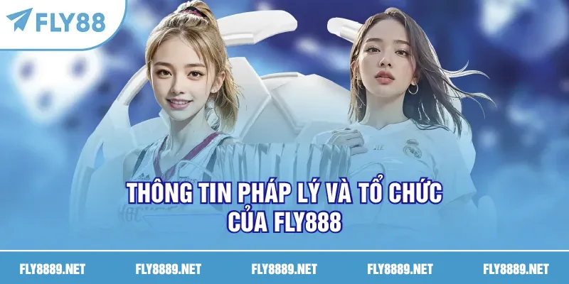 Thông tin pháp lý